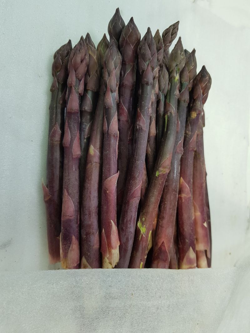 김현정님의 장터 판매 상품 [유기농 보라아스파라거스] 첨부 사진