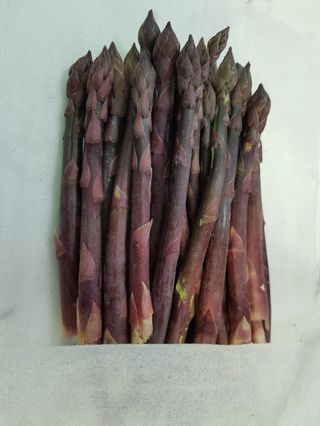 김현정님의 작성글 사진