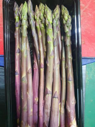 김현정님의 작성글 사진