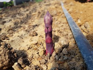 김현정님의 작성글 사진