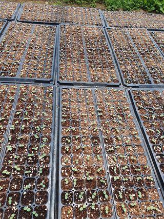 김옥자님의 자유주제 · 자유게시판 작성글 사진