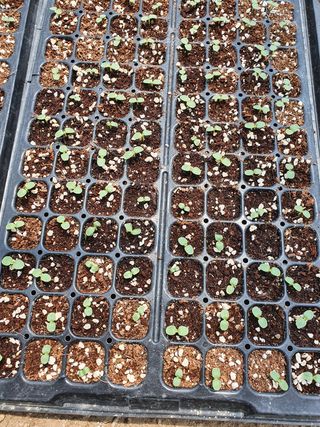 김옥자님의 자유주제 · 자유게시판 작성글 사진