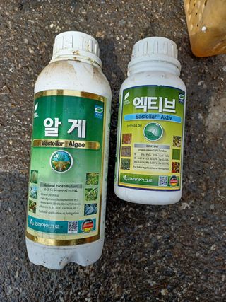 알 수 없음님의 고추 · 파종•정식 작성글 사진