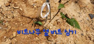 박필진님의 기타작물 · 자유게시판 작성글 사진