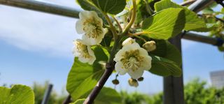 박필진님의 기타작물 · 자유게시판 작성글 사진