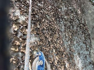 강미화님의 작성글 사진