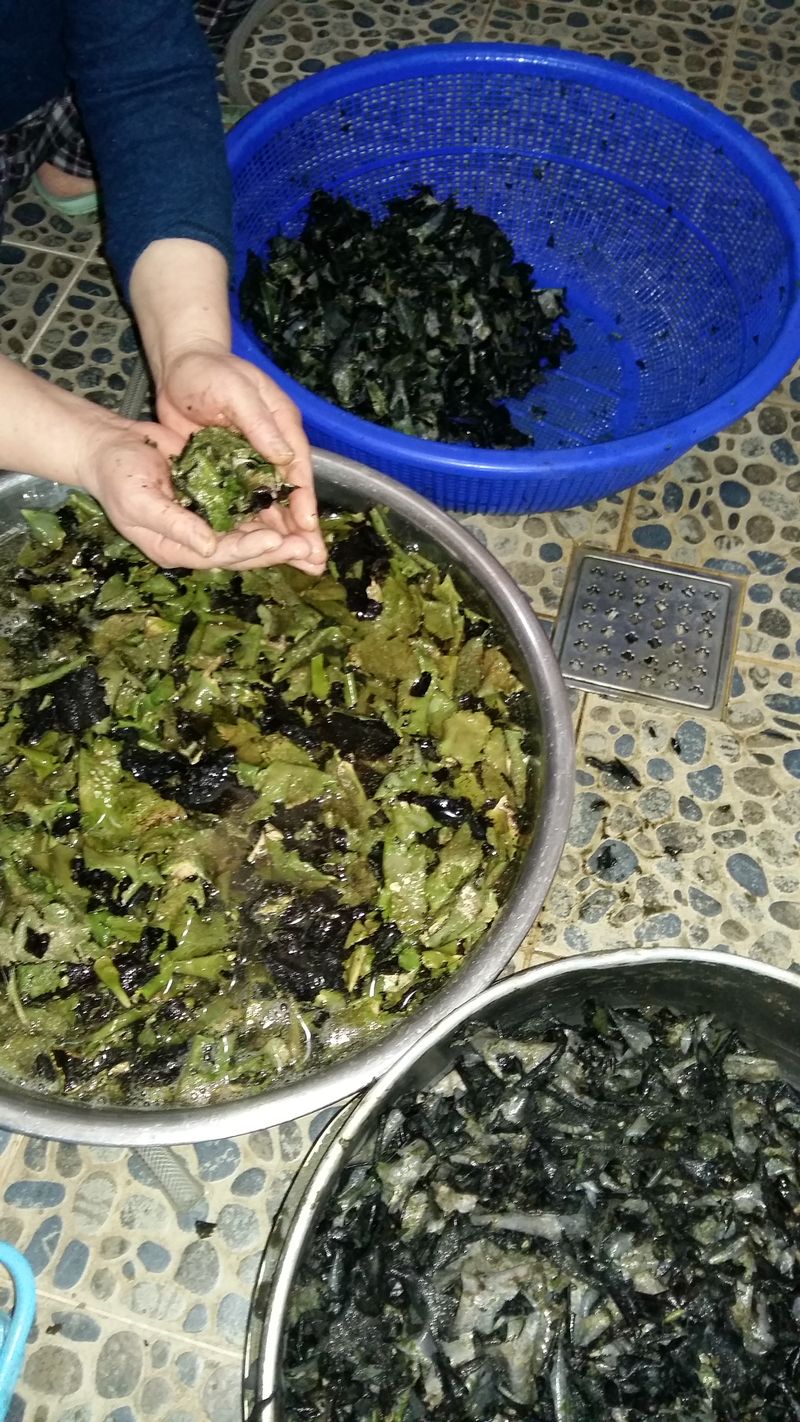 강미화님의 장터 판매 상품 [석이버섯100g] 첨부 사진