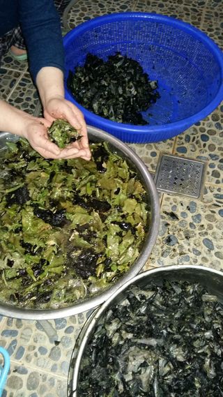 강미화님의 작성글 사진