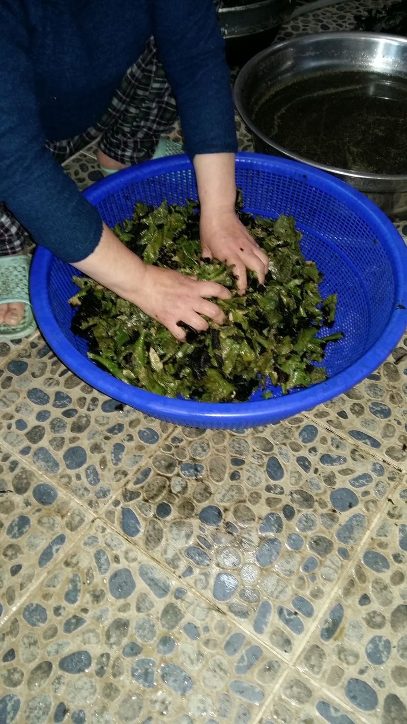 강미화님의 장터 판매 상품 [석이버섯100g] 첨부 사진