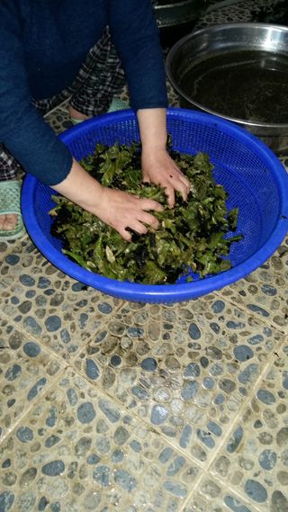 강미화님의 작성글 사진