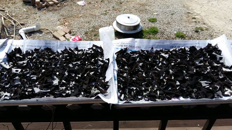 강미화님의 장터 판매 상품 [석이버섯100g] 첨부 사진