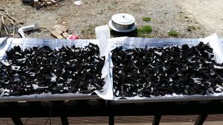 강미화님의 작성글 사진