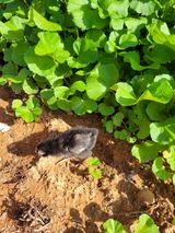 팜모닝 자유주제·자유게시판 게시글 이미지