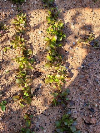 물안개님의 자유주제 · 자유게시판 작성글 사진