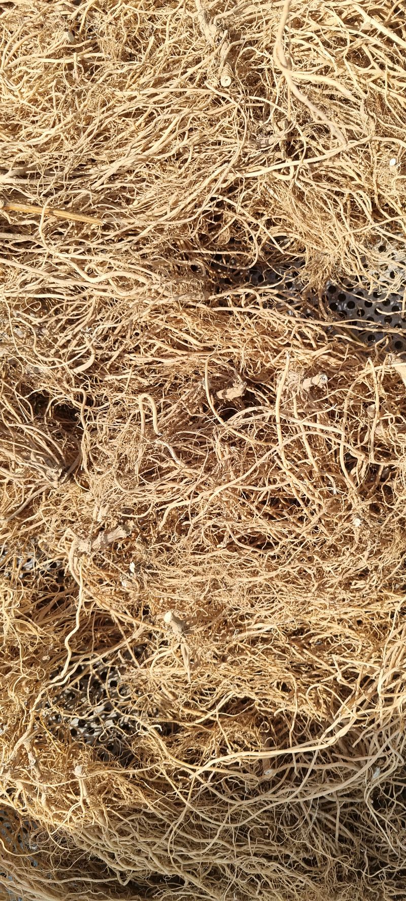 장터 상품 [우슬1키로] 썸네일