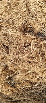 팜모닝 · 게시글 이미지