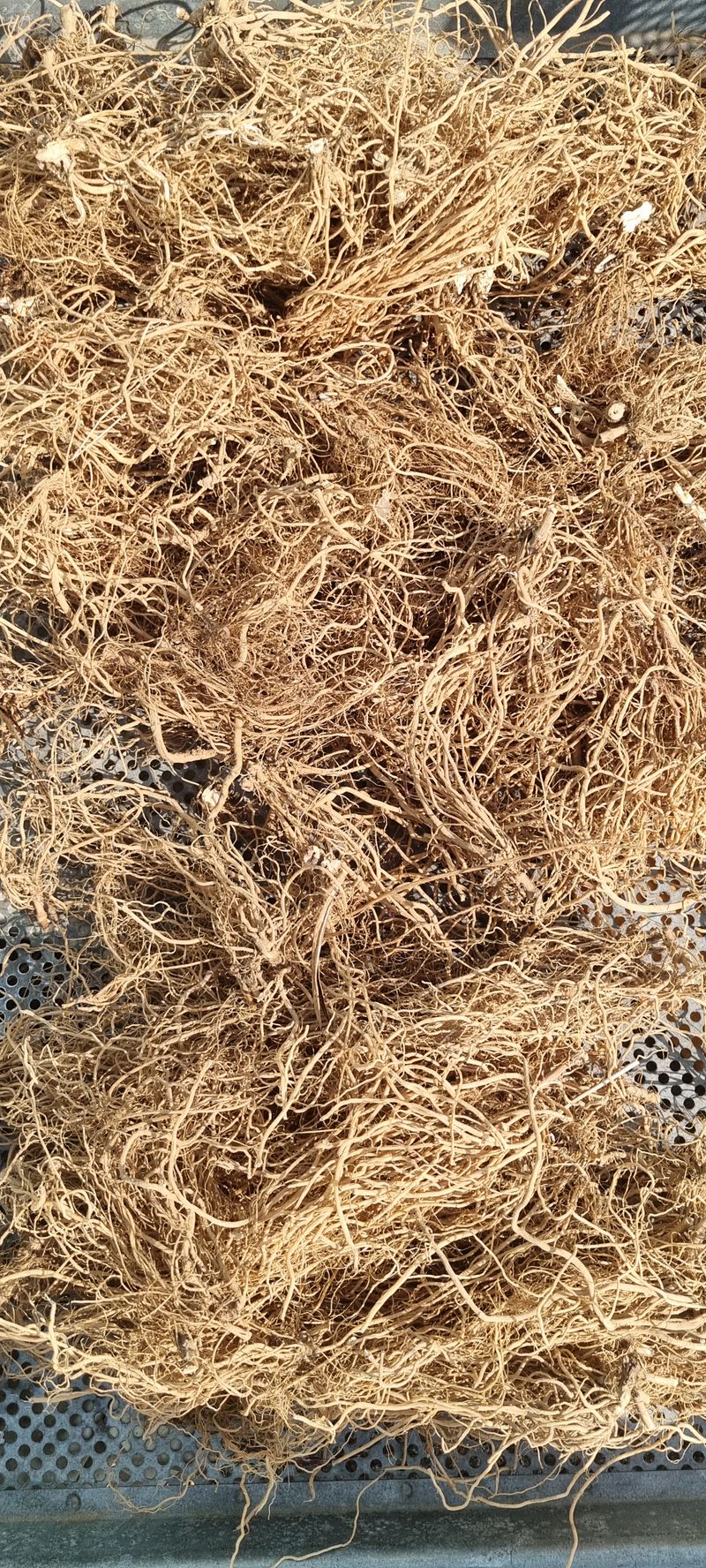 황금독수리님의 장터 판매 상품 [우슬1키로] 첨부 사진