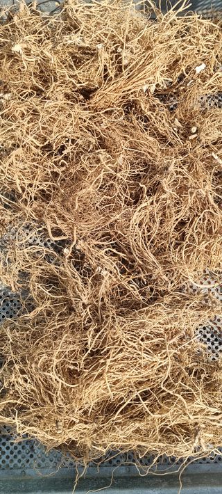 황금독수리님의 작성글 사진