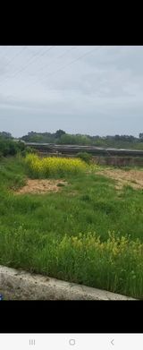 팜모닝 고구마·자유게시판 게시글 이미지