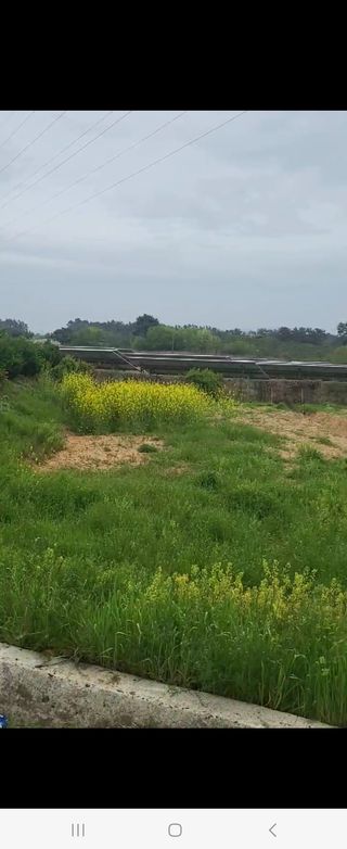 조혜선님의 고구마 · 자유게시판 작성글 사진