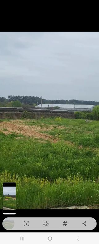 조혜선님의 고구마 · 자유게시판 작성글 사진