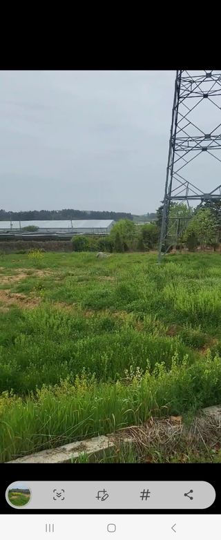 조혜선님의 고구마 · 자유게시판 작성글 사진
