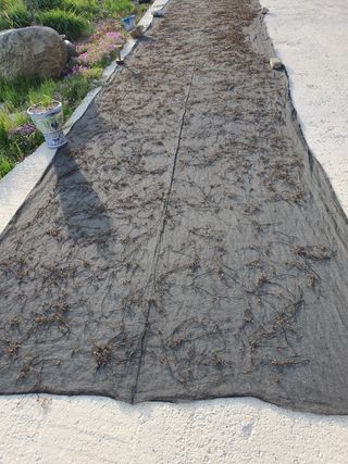 박장규님의 작성글 사진