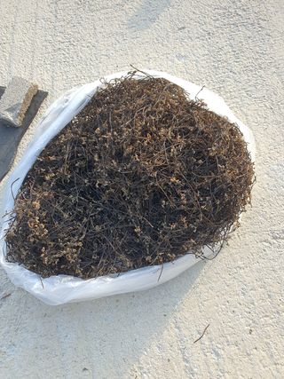 박장규님의 작성글 사진