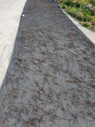 박장규님의 작성글 사진