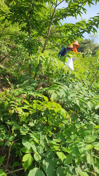 김경수님의 우리동네 · 동네수다 작성글 사진