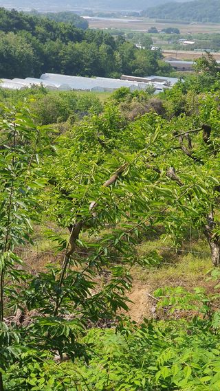 김경수님의 우리동네 · 동네수다 작성글 사진