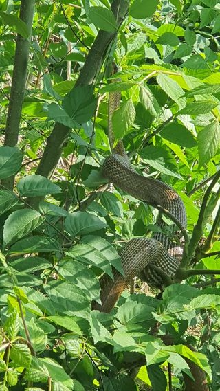 김경수님의 우리동네 · 동네수다 작성글 사진