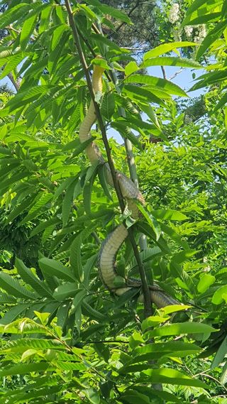 김경수님의 우리동네 · 동네수다 작성글 사진