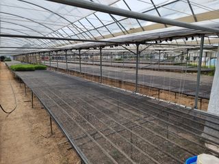 수박씨님의 고추 · 일상 작성글 사진