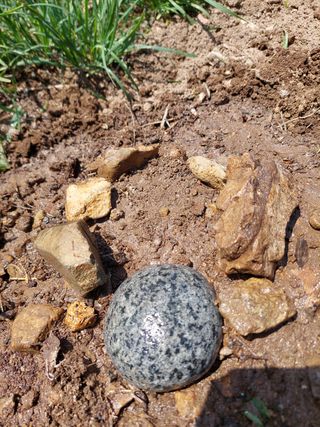 유병욱님의 자유주제 · 자유게시판 작성글 사진