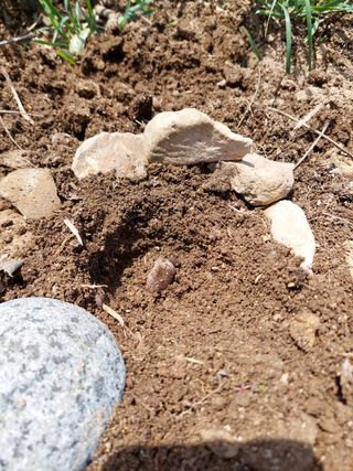 유병욱님의 자유주제 · 자유게시판 작성글 사진