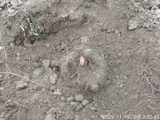 유병욱님의 자유주제 · 자유게시판 작성글 사진