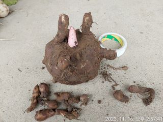 유병욱님의 자유주제 · 자유게시판 작성글 사진