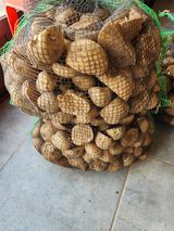 팜모닝 · 게시글 이미지