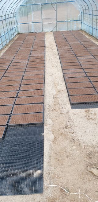 알 수 없음님의 자유주제 · 자유게시판 작성글 사진