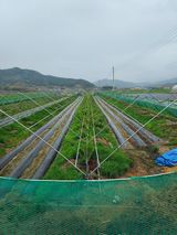 팜모닝 우리동네·동네정보 게시글 이미지