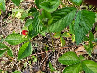 이영재님의 자유주제 · 자유게시판 작성글 사진