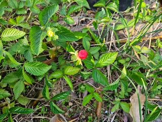 이영재님의 자유주제 · 자유게시판 작성글 사진