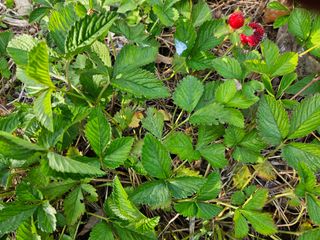 이영재님의 자유주제 · 자유게시판 작성글 사진