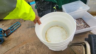 아기농부단야님의 자유주제 · 자유게시판 작성글 사진