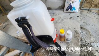 아기농부단야님의 자유주제 · 자유게시판 작성글 사진