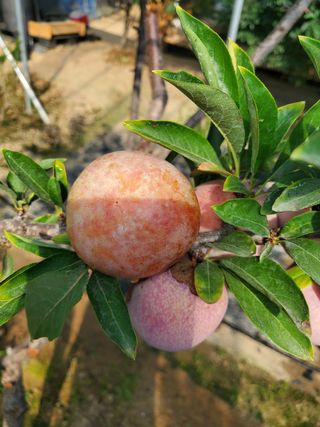 서정훈 님의 자유주제 · 자유게시판 작성글 사진