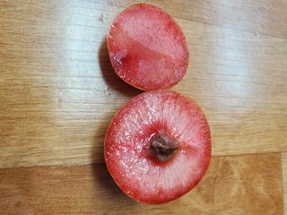 서정훈 님의 자유주제 · 자유게시판 작성글 사진