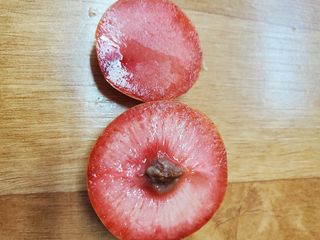 서정훈 님의 자유주제 · 자유게시판 작성글 사진