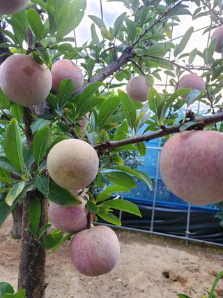 서정훈 님의 자유주제 · 자유게시판 작성글 사진